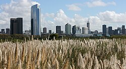 View of Buenos Aires Central Business District from the Costanera Sur Ecological Reserve