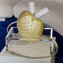 Carmat's artificial heart.