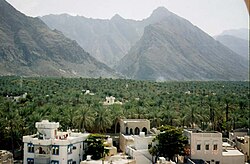 Nakhal palm tree farms in Oman's Al Batinah Region