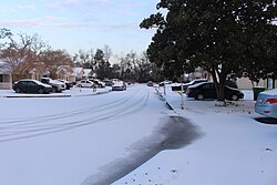 Snowfall in Valdosta, Georgia, on January 22