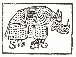 The first known print of the rhinoceros is a rather primitive woodcut which illustrates a poem by Giovanni Giacomo Penni published in Rome in July 1515. (Biblioteca Colombina, Seville).
