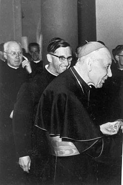 Pope Paul VI fully supported Cardinal Augustin Bea, credited with ecumenical breakthroughs during the Second Vatican Council.