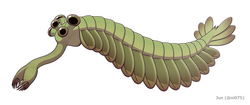 Opabinia made the largest single contribution to modern interest in the Cambrian explosion.[191]