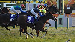Gentildonna crossing the finish line at the 2013 Japan Cup in first place, a nose ahead of the horse Denim and Ruby
