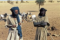 Tuareg society is traditionally hierarchical, ranging from nobles, through vassals, to dark-skinned slaves.[326]