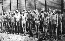 Soviet prisoners of war in Mauthausen