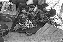 Iraqi Jews displaced 1951.