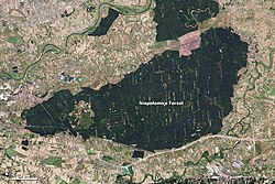 Since the 13th century, the Niepołomice Forest in Poland has had special use and protection. In this view from space, different coloration can indicate different functions.[24]