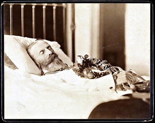 Post mortem portrait of Emperor Frederick III, 1888