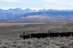 Green River valley