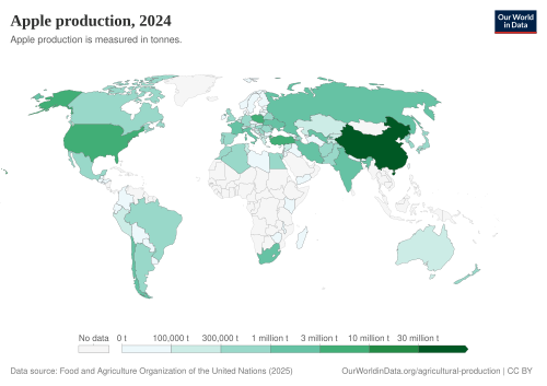 Apple production