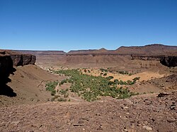 Terjit oasis in the Adrar Region