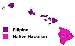 Largest alone or in any combination ethnic origin by county in Hawaii, per the 2020 census[168]