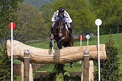 The horse is not required to have ideal jumping form, but should be brave and scopey enough to do the job.
