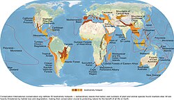 Earth's 25 terrestrial hot spots of biodiversity. These regions contain a high number of plant and animal species and have been subjected to high levels of habitat destruction by human activity, leading to biodiversity loss.