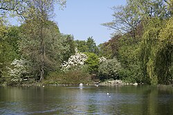 The pond in Stadsparken.