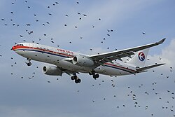 An Airbus A330 of China Eastern behind a flock of birds at London Heathrow