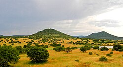 Savanna in eastern South Africa