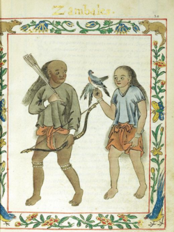 A couple belonging to the Sambal warrior class, documented by the 16th-century Boxer Codex: The female warrior is holding a raptor, which has captured a bird, exemplifying a culture of falconry.