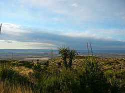 Chihuahuan Desert terrain near Carlsbad