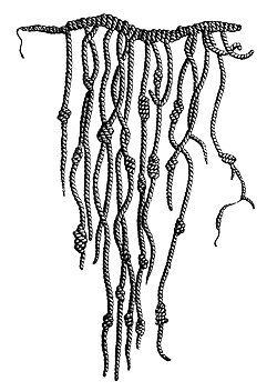 The presence of quipu tentatively suggests a "proto-writing" system in ancient Caral–Supe