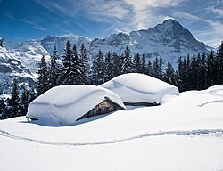 Extreme snow accumulation on building roofs