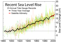 Sea level measurements from 23 long tide gauge records in geologically stable environments show a rise of around 200 millimetres (7.9 in) during the 20th century (2 mm/year).