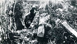 Peruvian trenches in Leticia