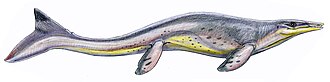 Tylosaurus, a type of large marine lizards known as mosasaurs