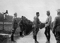 Bosniaks formed 31%–50% of Bosnian-Herzegovinian Infantry of the Austro-Hungarian Army.[109] BHI was commended for their bravery in service of the Austrian emperor in WWI, winning more medals than any other unit.[110]