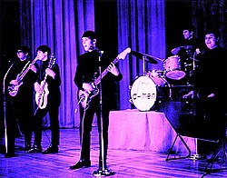 The D-Men (later the Fifth Estate) in 1964