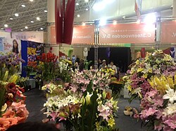 Took from flower festival