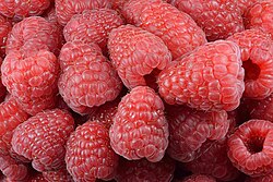 Red-fruited raspberries