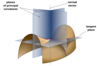 Saddle surface with normal planes in directions of principal curvatures