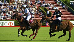 Argentine Polo Open Championship