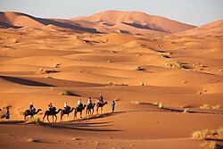 Landscape of the Erg Chebbi
