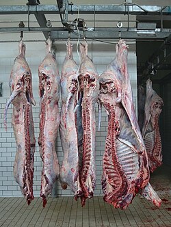 Sides of beef in a slaughterhouse