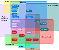 Euler diagram showing overlapping clinical phenotypes in genes associated with monogenic forms of autism spectrum disorder (ASD), dystonia, epilepsy and schizophrenia: Genes associated with epilepsy Genes associated with schizophrenia Genes associated with autism spectrum disorder Genes associated with dystonia