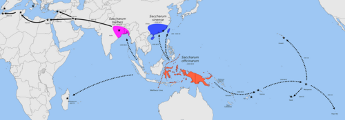 Map showing centers of origin of Saccharum officinarum in New Guinea, S. sinensis in southern China and Taiwan, and S. barberi in India; dotted arrows represent Austronesian introductions[18]