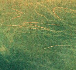 Satellite image of trawler mud trails off the Louisiana coast