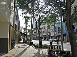 Clematis Street