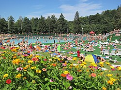 Summer is usually the season of travel, swimming, summer vacation for many people, and also the season for fruits and plants to fully develop.