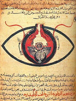 Anatomy of the eye for the first time in history by Hunayn ibn Ishaq in the 9th century