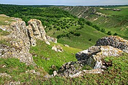 La Castel landscape reserve near Gordinești, Edineț District