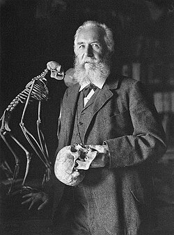 Ernst Haeckel in later life