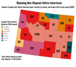 Largest Non-Hispanic Native American ancestry by county and numbers of people reporting "Native American Alone"