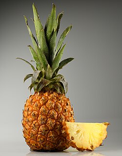The fruit of a pineapple includes tissue from the sepals as well as the pistils of many flowers. It is a multiple-accessory fruit.