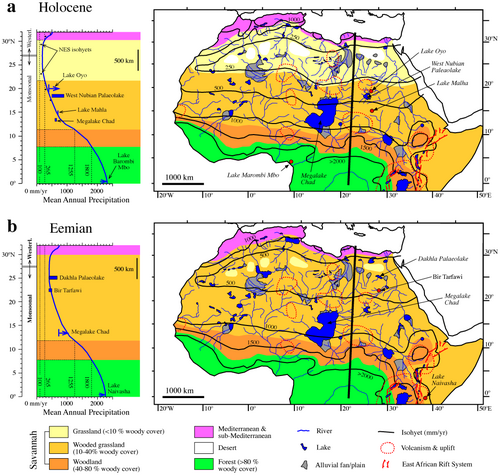 Vegetation and water bodies in northern and central Africa in the Eemian (bottom) and Holocene (top)