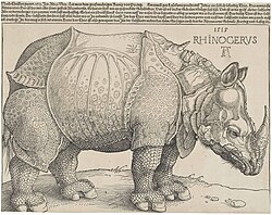 Dürer's Rhinoceros, woodcut (1515)