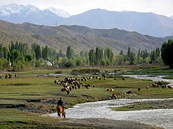 On the south shore of Issyk Kul lake, Issyk Kul Region